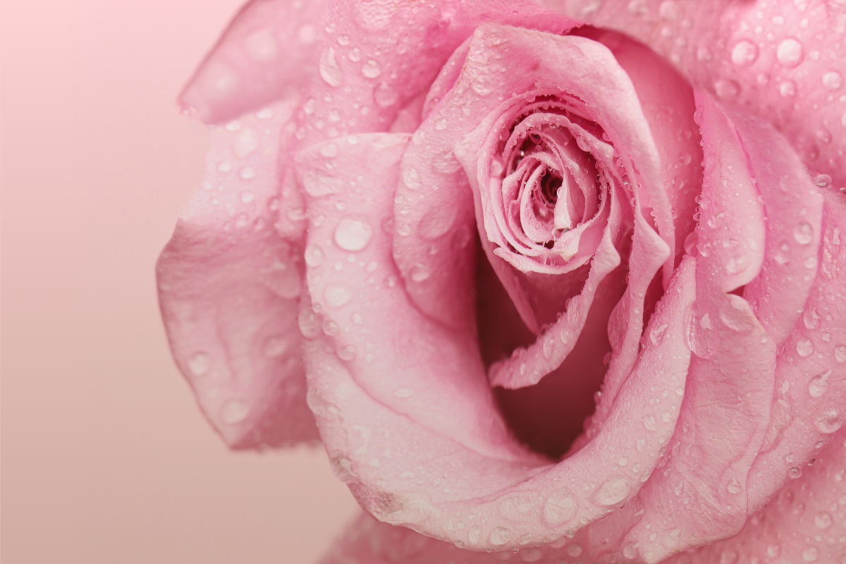 Vaginal Microbiome & Bacterial Vaginosis: What Your Body Is Trying to Tell You