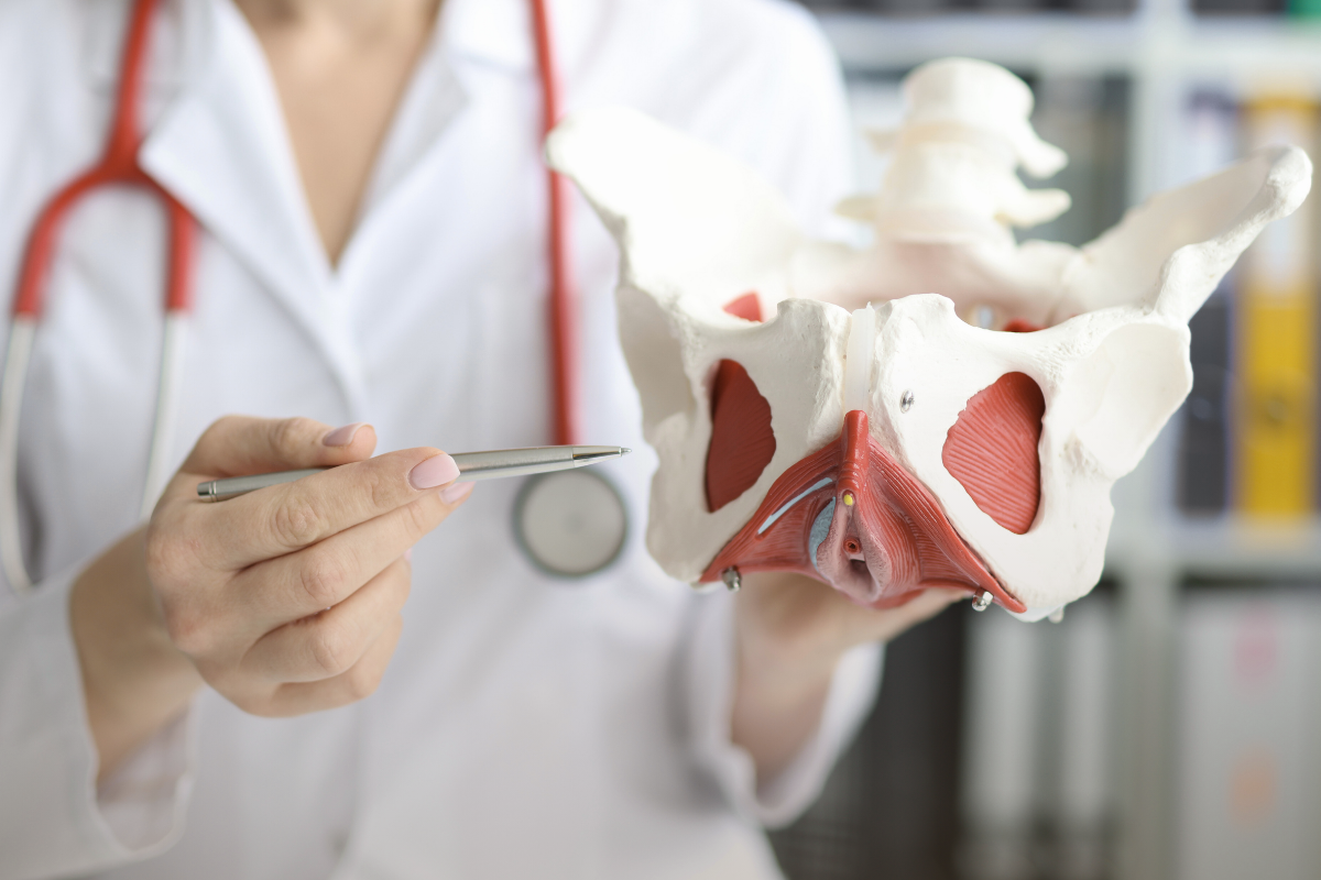 Pelvic Floor Rehabilitation: What Actually Works and What Wastes Your Time